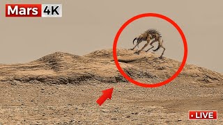 Perseverance Rover Latest Images: SOL 1573 | NASA Send Mars Rover Footage | Mars In 4K | Mars 4K