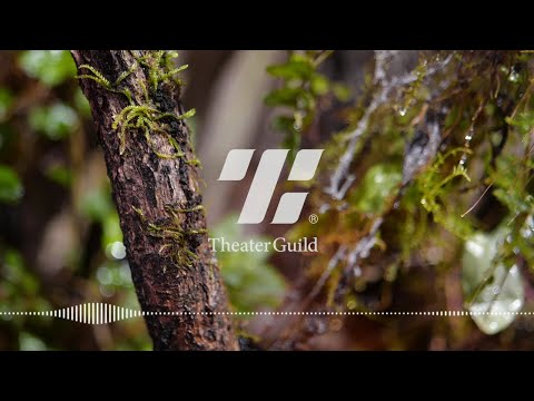 LIVE | TheaterGuild®︎ Lofi hip hop mix