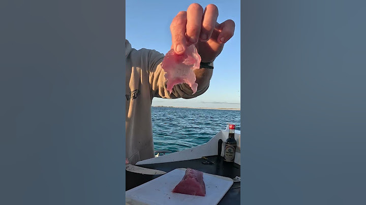 TUNA SASHIMI CATCH AND COOK
