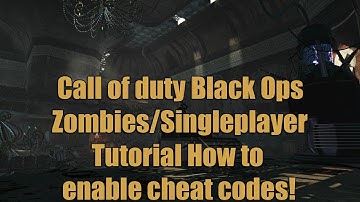 How to enable cheat commands in Black Ops Zombies/Singleplayer