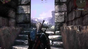 The Witcher 2: Creepy Bug