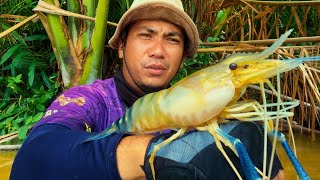 Download Lagu BERGETAR SELURUH TUBUH, UDANG TERBESAR SUNGAI KALIMANTAN BERHASIL SAYA PANCING, MANCING UDANG GALAH MP3