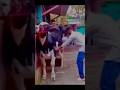 Crazy Moment funny video 🙏😱#shorts #crazy #funny #viral+