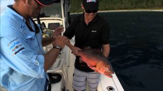 Mark Berg's Fishing Addiction: Huge Dogtooth Tuna