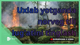 Uxlab yotganda norveg tili lug'atini tinglash | Golearn