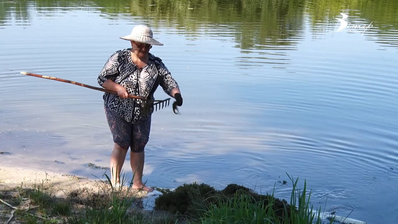 Толоку на березі річки Синюха влаштували у Новоархангельську | телеканал Вітер