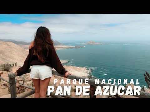 Vídeo: Diversión Bajo El Sol Del Desierto: Pan De Azúcar, Chile - Matador Network