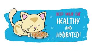 Quench Your Kitty's Thirst! Discover Cat Hydration with Weruva by Weruva 65,539 views 6 months ago 31 seconds