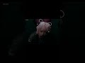 明日19:00公開 / 新曲『マシンガンクイーン』MUSIC VIDEO / マイキP Selfcover /【Teaser】