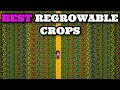 I Tested Every Regrowing Crop In Stardew Valley And Determined The Best Crop In Stardew Valley