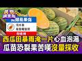 西瓜田暴雨淹成一片！農民心血泡湯「瓜苗恐裂果」嘆：沒量採收【民怨調查局】