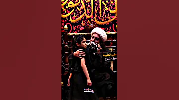 زينب وين ابوج الشيخ علي السماوي 