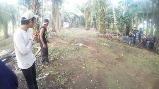 Medan grasstrack