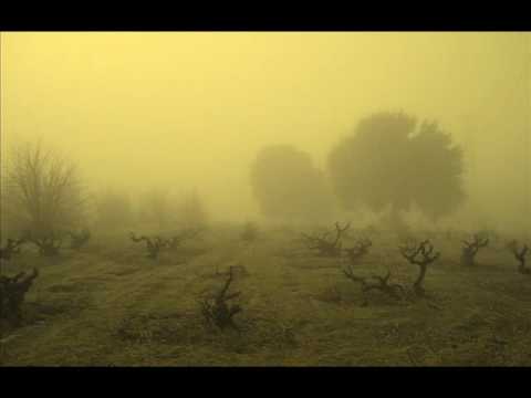 life (jumpscare warning)