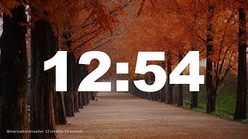 12 minutes 54 seconds [774 secs] clock timer countdown || Alarm Focus || Chill Music