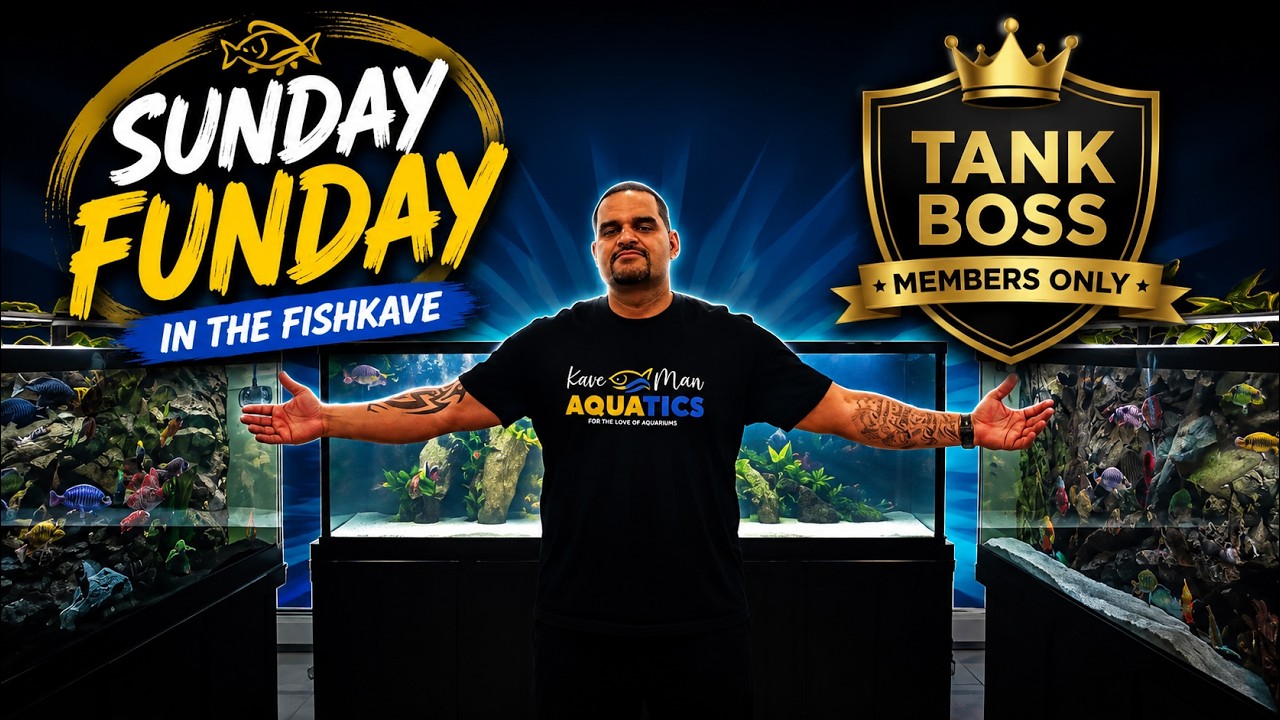 FishKave Sunday Funday LIVE 🔴 | Members Only #7
