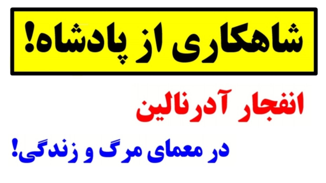 Вершина математической красоты в загадке короля и математика! 😍