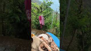 aj bhi तूफान ⛈️#minivlog #daillyshorts #phadilifestyle #rainyweather
