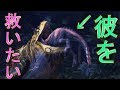【ＭＨＷ】ムービー演出突入前に罠仕掛けといたら反映されるのか？（ムービ―内のケストドンを助けたい）【モンスターハンターワールド】検証　実況