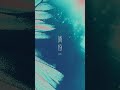 XANVALA - 鱗粉 [lyric video]