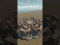 EASY DESIGN zerg base for duo / trio / quad [easy design for official / mods servers] #rust