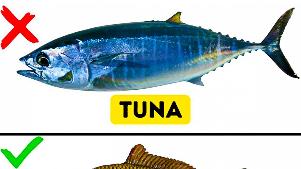 13 PRODUCTS YOU’D BETTER STOP EATING IMMEDIATELY