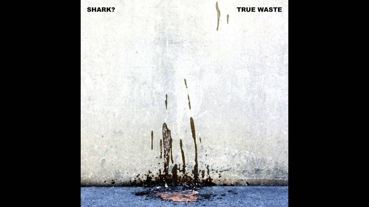 Guarda Shark? - Down Low (Original Audio) su YouTube Guarda Shark? - Down Low (Original Audio) su YouTube