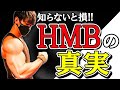 【闇を暴け】誰も教えてくれないHMBの真実【徹底解説】