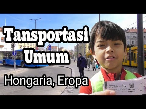 Video: Berkeliling Edinburgh: Panduan Transportasi Umum