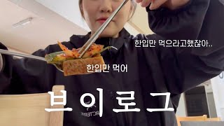 vlog. 닭도리탕 돈까스 맛집 직장인 브이로그라고 말하고 먹는거만 보여드립니다