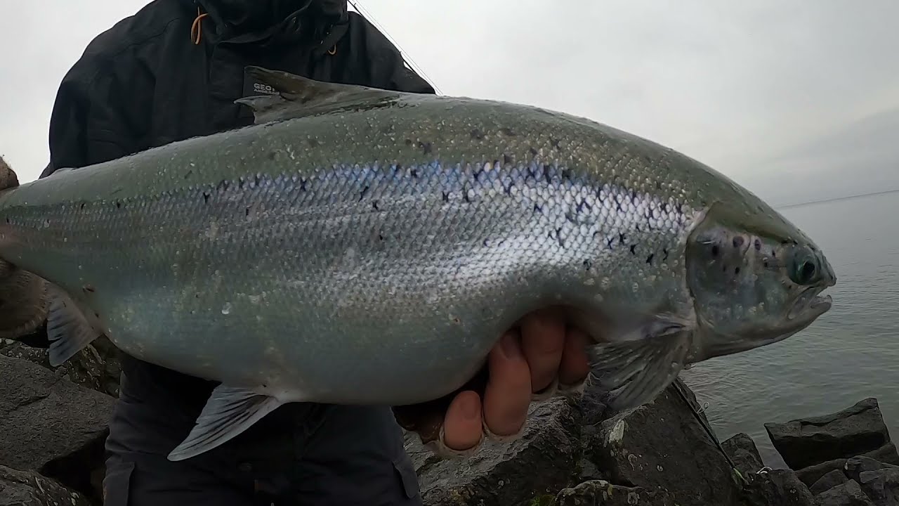 Ловля лосося - озеро Веттерн