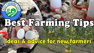 Best Farming Tips: Ideas & advice for new farmers / beginning farmers