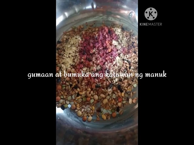 Conditioning guide/Secreto Kung paano gumaan Ang timbang nga manuk class=