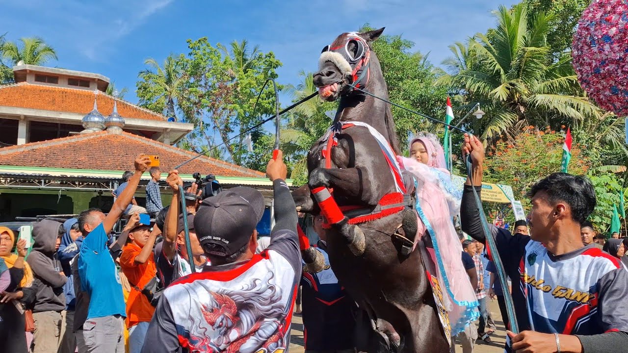 12 KUDA JINGKRAK TERBAIK ‼️ DI ARAK ARAKAN DESA GIRIGONDO KALIMENENG | 8 FEBRUARI 2026