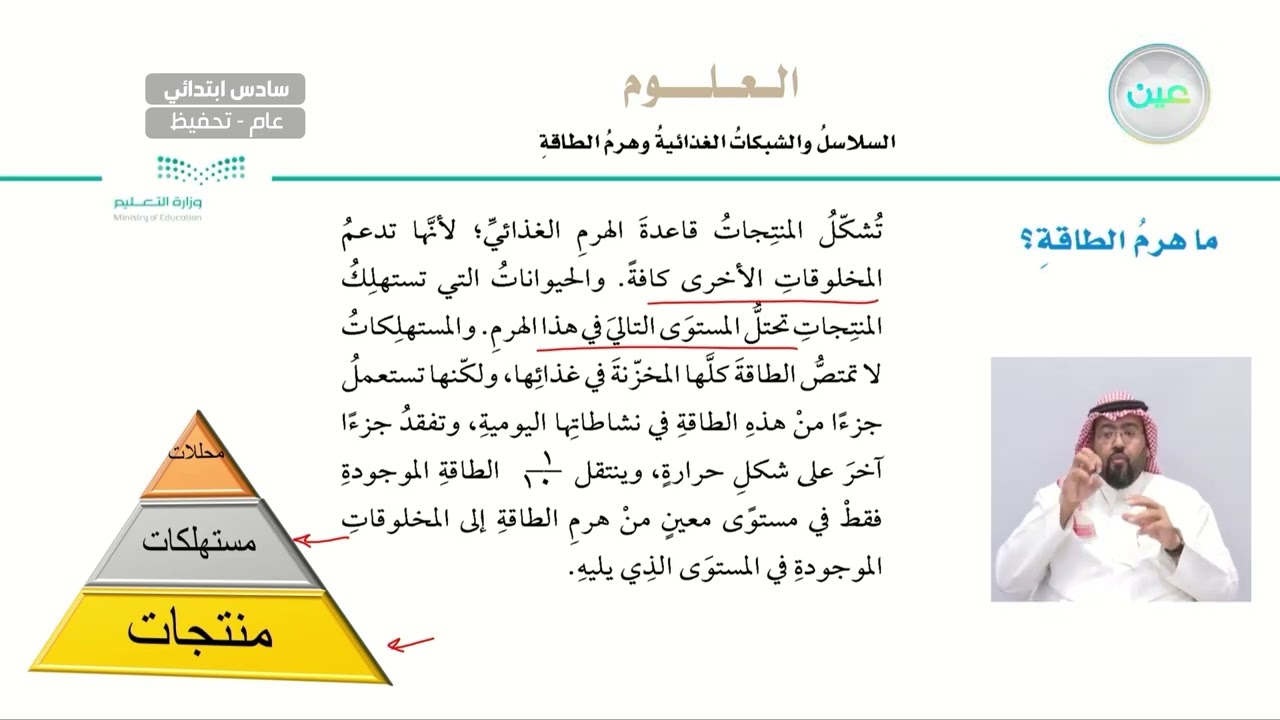 ما هرم الطاقة؟ - العلوم - سادس ابتدائي