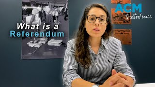 What is a referendum and how does it work?