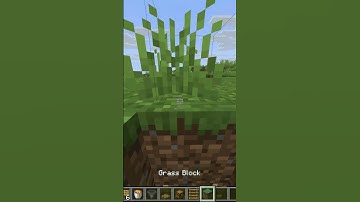 How to build a lava trap #minecraftshorts #minecraft