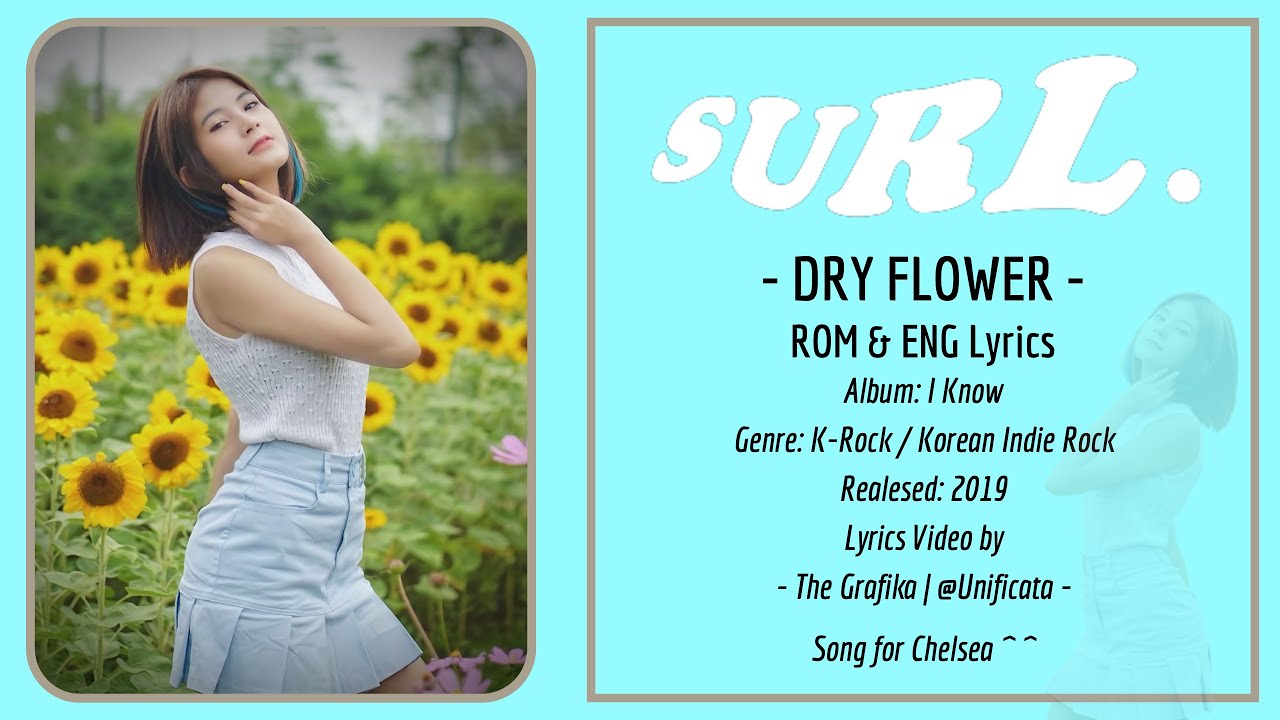 SURL (설) Dry Flower (Romaji & English Lyric Video) 𝘾𝙝𝙚𝙡𝙨𝙚𝙖 𝙫𝙖𝙣 𝙈𝙚𝙞𝙟𝙧 YouTube