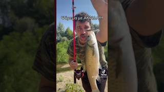 Ψάρεμα στον Έβρο! #fishing #river #riverfishing #troutfishing #fyp