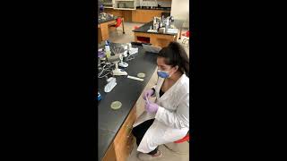 Streaking E. coli for lawn growth