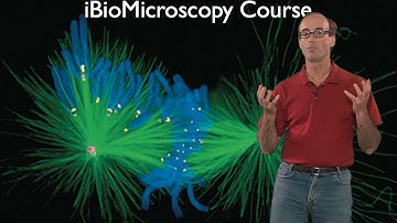 Microscopy: What Can You Learn With a Light Microscope (Ron Vale)