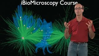 Microscopy: What Can You Learn With a Light Microscope (Ron Vale)