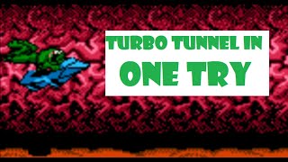 Beating the Turbo Tunnel in One Try - Battletoads NES #shorts