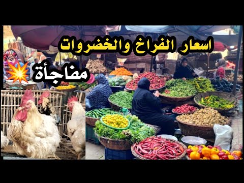 اسعار الفراخ اليوم نصف شعبان والخضروات والثوم الجديد من قلب سوق السيدة زينب اسعار غير متوقعة