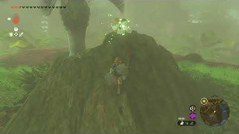 [DAY 766] of finding one korok seed in TotK everyday until we get them all