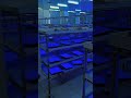 large of modules are shipped and ageing#leddisplay #advertise #rental #poster #flexible