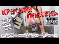 НОВИНКА!!!! ХИТ!!!  КРАСНАЯ ПЛЕСЕНЬ - гр. Клёво с насКОКОм - Ча-ча-чат