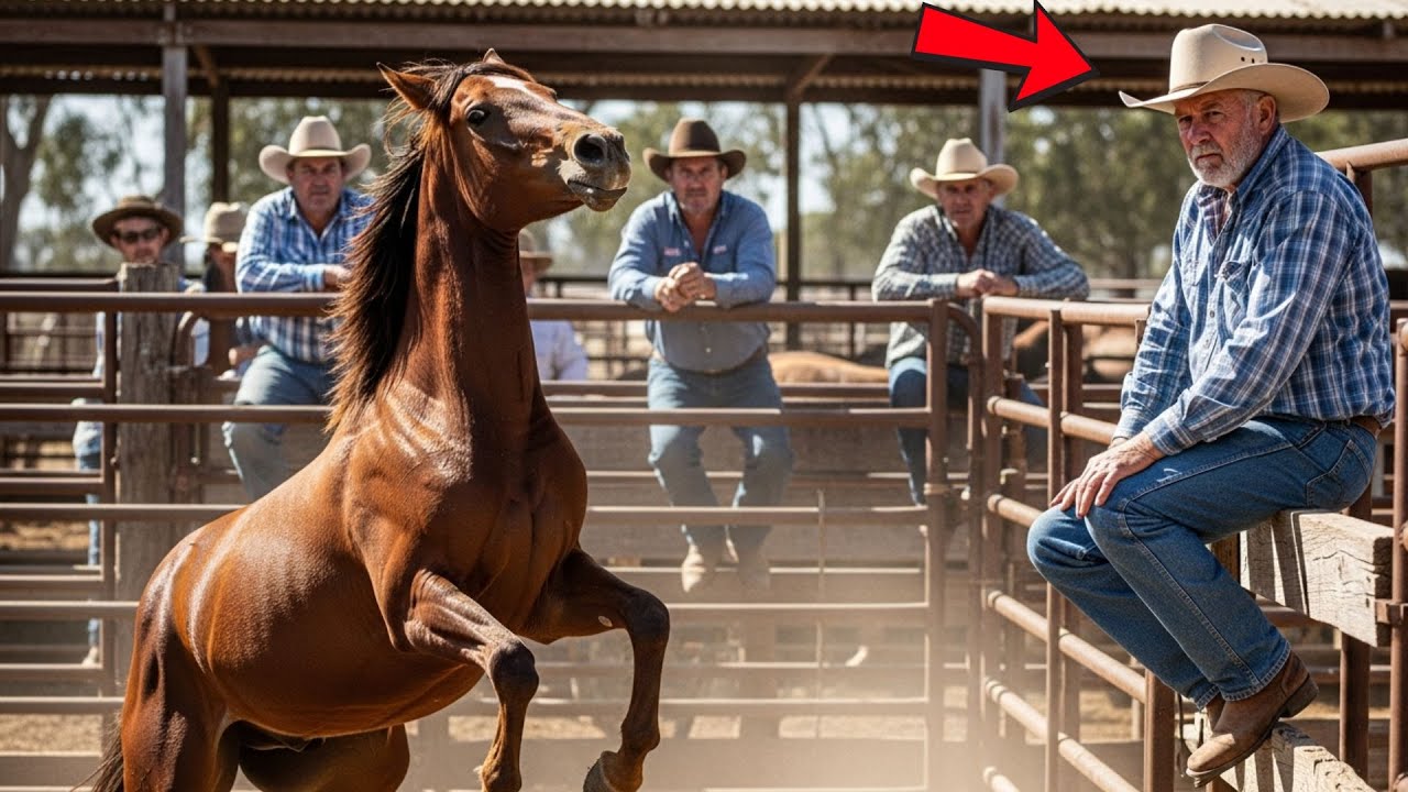 O CAVALO APARECEU NO LEILÃO SEM REGISTROS. AO VÊ-LO, O VAQUEIRO SENTIU QUE HAVIA ALGO ERRADO.
