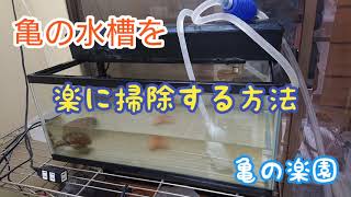 亀の水槽を楽に掃除する方法 亀の楽園 岡山