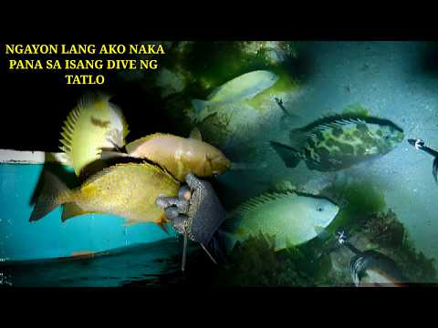 EP 490: NGAYON LANG AKO NAKAPANA SA ISANG DIVE NG TATLO😱🙏